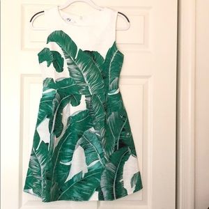 palm leaf dress